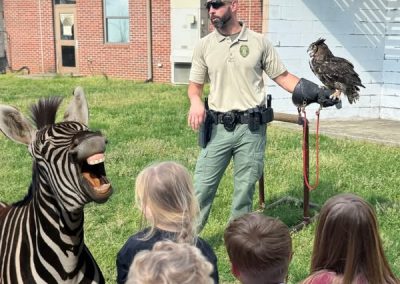 Ed the Zebra at an Animal Show
