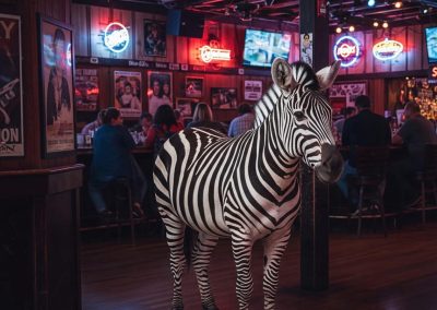 Ed the Zebra at the bar