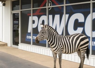 Ed the Zebra in front of POWCO