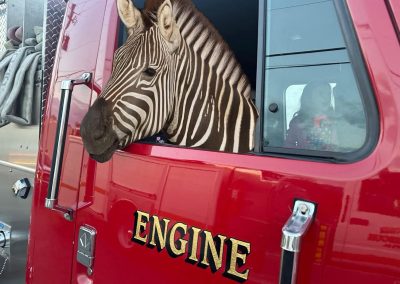 Ed the Zebra in Fire Truck