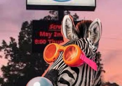 Ed the Zebra Memes