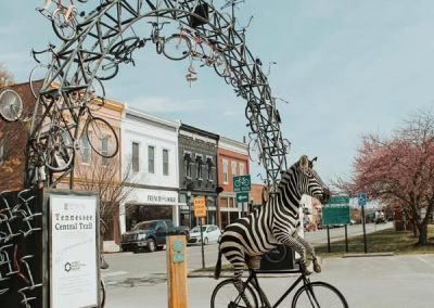 Ed the Zebra in Cookeville TN