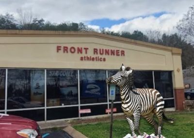 Ed the Zebra with Sneakers Running