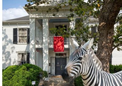 Ed the Zebra at the Lotz House