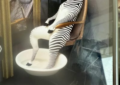 Ed the Zebra Getting a Pedicure