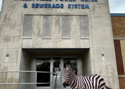 Ed the Zebra at the Power Company