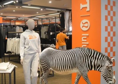 Ed the Zebra Shopping for VOLS Merch